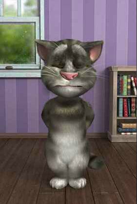 会说话的汤姆猫常见问题 汤姆猫也是萌萌哒 爱它你就虐它