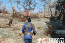 辐射 避难猫咪狗狗加入幸福度爆棚 Fallout Shelter 手心游戏