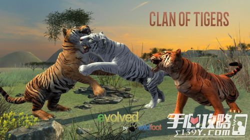 虎族Clan of Tigers评测：王者之争 夺回荣耀1