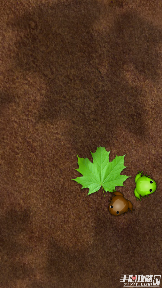Pocket Frogs口袋青蛙，百玩不厌的收集游戏5
