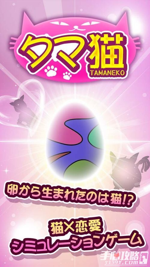 全新的恋爱游戏《蛋蛋猫》预注册现已开始1