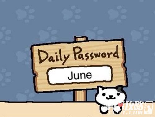 《猫咪后院》每日暗号攻略 6月1日暗号一览2