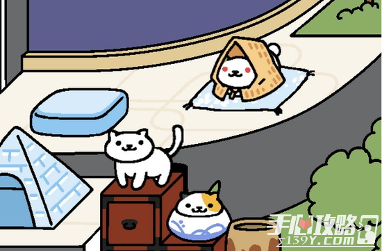《猫咪后院》中怎么吸引雪喵 吸引雪喵的技巧1