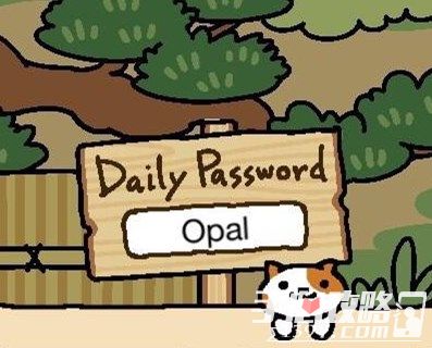 《猫咪后院》每日暗号攻略 6月24日暗号一览2