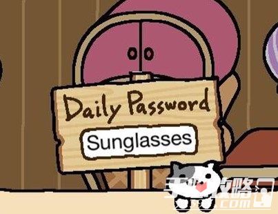 猫咪后院每日暗号攻略 8月18日暗号一览2