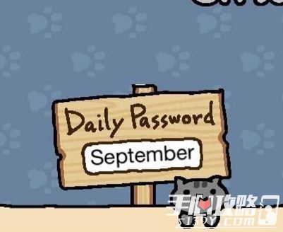 猫咪后院每日暗号攻略 9月1日暗号一览2