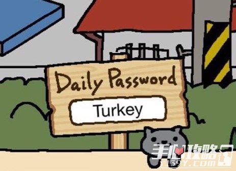 猫咪后院每日暗号攻略11月24日暗号一览2