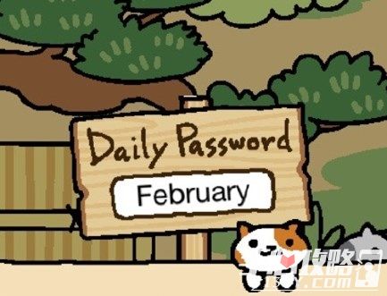 猫咪后院2017年每日暗号攻略2月1日暗号一览2