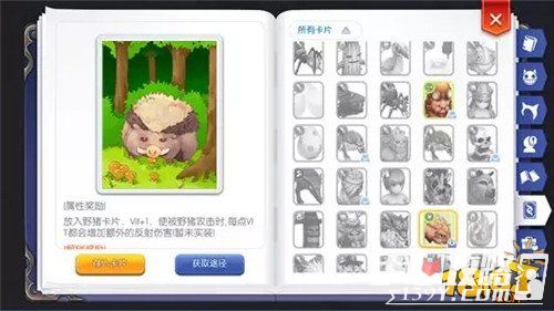 仙境传说RO冒险手册2.0版 卡片头饰收集控的福音4