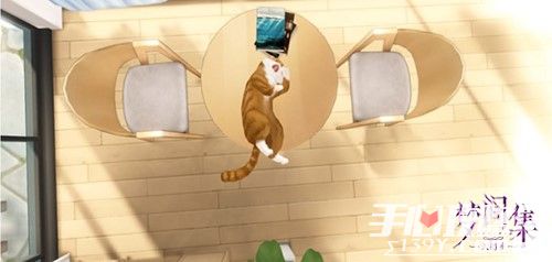 《梦间集天鹅座》萌宠玩法首曝 撸猫大作战3