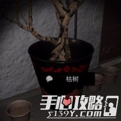 孙美琪疑案DLC7周静枯树位置介绍1