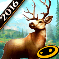 猎鹿人2016