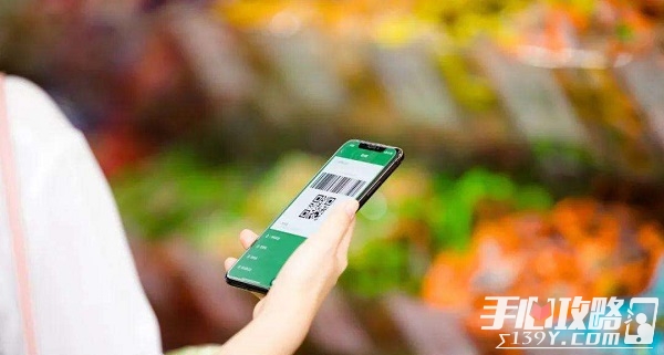 北京绿色节能消费券有几张