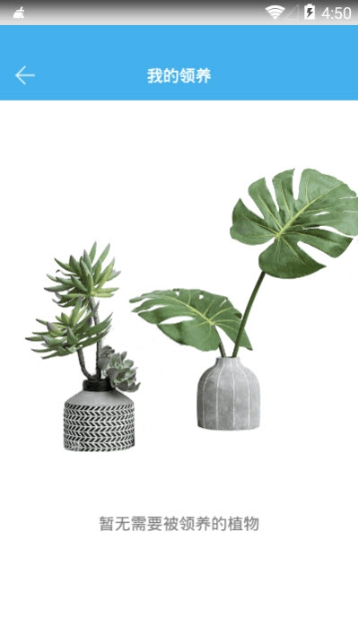 安心花花草寄养领养