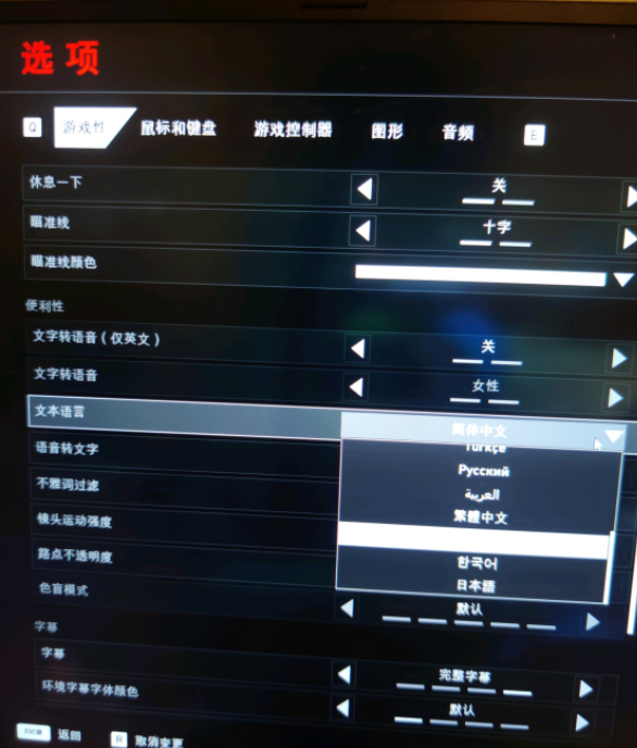 《喋血复仇》最简单设置中文办法