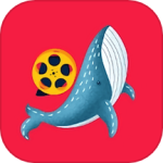 鲸鱼视频软件下载_鲸鱼视频