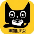 黑猫小说免费换源版