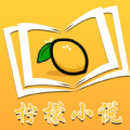 柠檬小说2024版