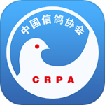 中国信鸽协会2024版