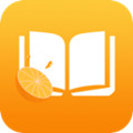橙子小说免费阅读版
