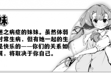 《妹相随：黑白世界的缤纷冒险》打了补丁汉化仍然是机翻怎么办？