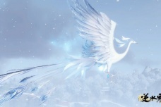 《逆水寒手游》摘星宫地图探索攻略大全