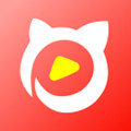 猫咪社区3.1.0最新版