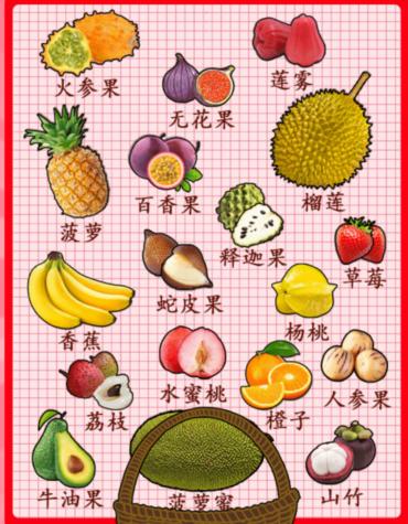 《汉字找茬王》开心水果汇让各种水果归位通关攻略